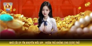 Ảnh đại diện nhà cái uy tín khuyến mãi VIP