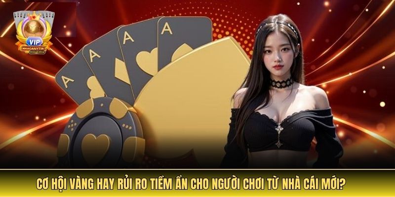 Cơ hội vàng hay rủi ro tiềm ẩn cho người chơi từ nhà cái mới?