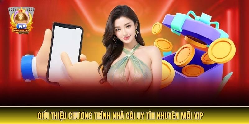 Giới Thiệu Chương Trình Nhà Cái Uy Tín Khuyến Mãi VIP