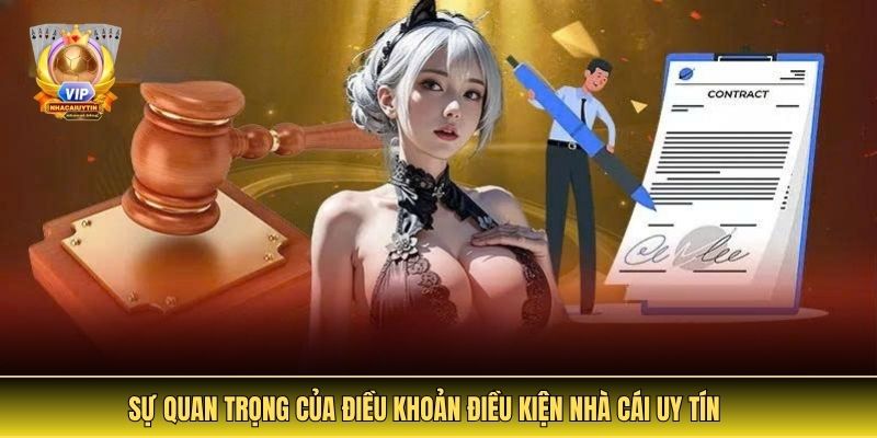 Sự Quan Trọng Của Điều Khoản Điều Kiện Nhà Cái Uy Tín